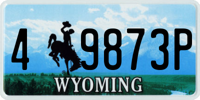 WY license plate 49873P