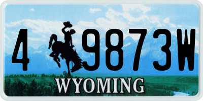 WY license plate 49873W