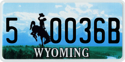 WY license plate 50036B
