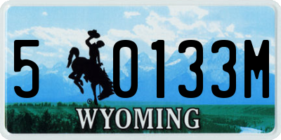 WY license plate 50133M