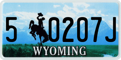 WY license plate 50207J