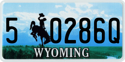 WY license plate 50286Q