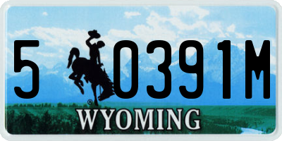 WY license plate 50391M