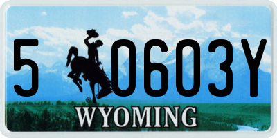 WY license plate 50603Y
