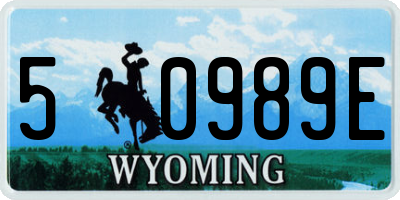 WY license plate 50989E