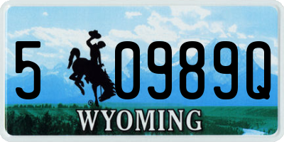 WY license plate 50989Q