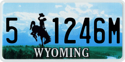 WY license plate 51246M