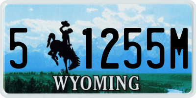 WY license plate 51255M