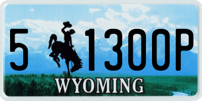 WY license plate 51300P