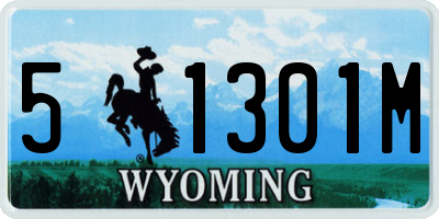 WY license plate 51301M