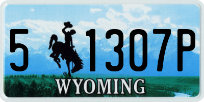 WY license plate 51307P