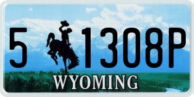 WY license plate 51308P
