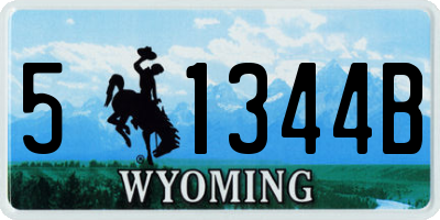 WY license plate 51344B