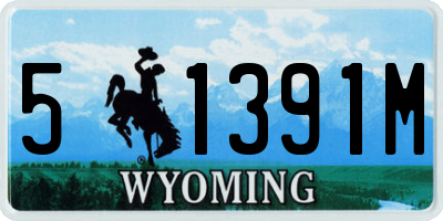 WY license plate 51391M