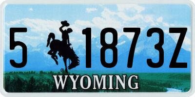 WY license plate 51873Z
