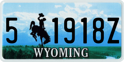 WY license plate 51918Z