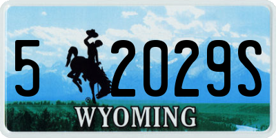 WY license plate 52029S