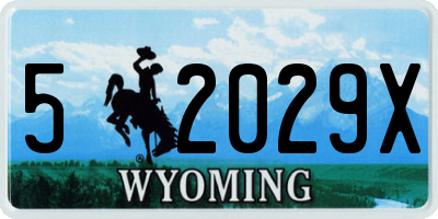 WY license plate 52029X