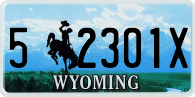 WY license plate 52301X