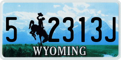 WY license plate 52313J
