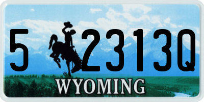 WY license plate 52313Q