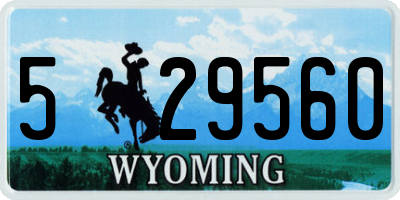 WY license plate 529560