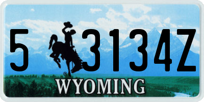 WY license plate 53134Z