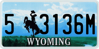 WY license plate 53136M
