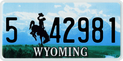 WY license plate 542981