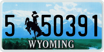 WY license plate 550391