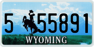 WY license plate 555891