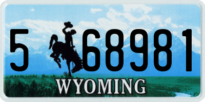 WY license plate 568981