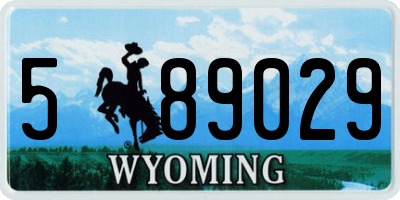 WY license plate 589029