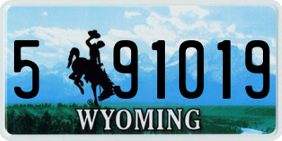 WY license plate 591019