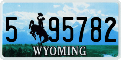 WY license plate 595782