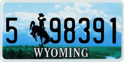 WY license plate 598391