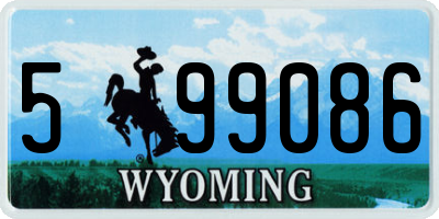 WY license plate 599086