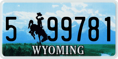 WY license plate 599781