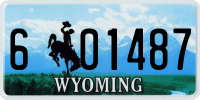 WY license plate 601487
