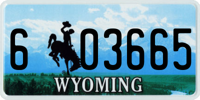 WY license plate 603665