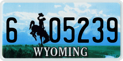 WY license plate 605239