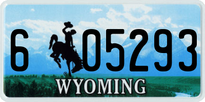 WY license plate 605293