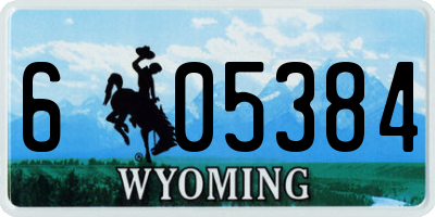 WY license plate 605384