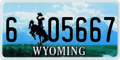 WY license plate 605667