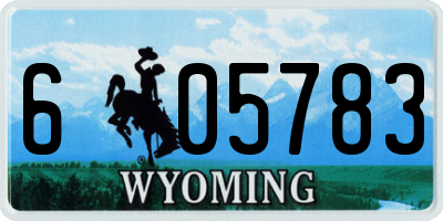 WY license plate 605783