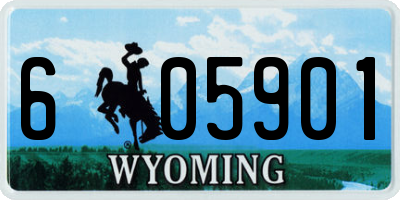 WY license plate 605901