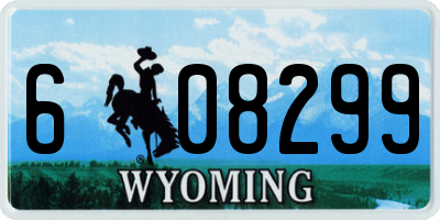 WY license plate 608299