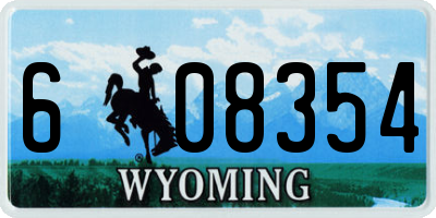 WY license plate 608354