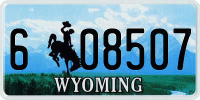 WY license plate 608507