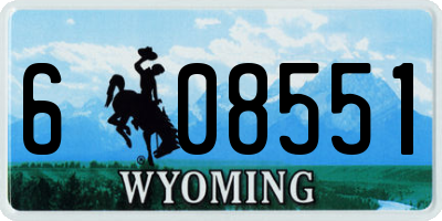 WY license plate 608551